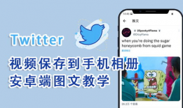 下载推特视频,揭秘热门短视频背后的魅力